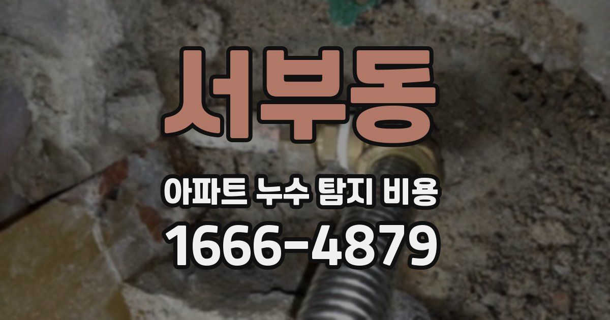 서부동 아파트 누수 탐지 비용