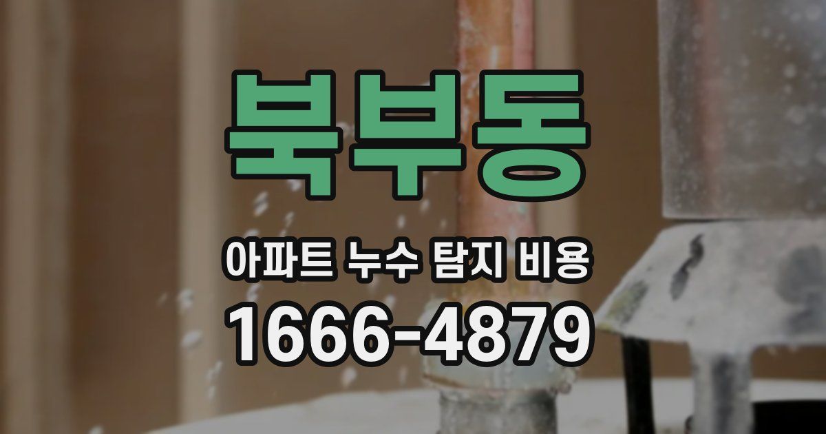 북부동 아파트 누수 탐지 비용