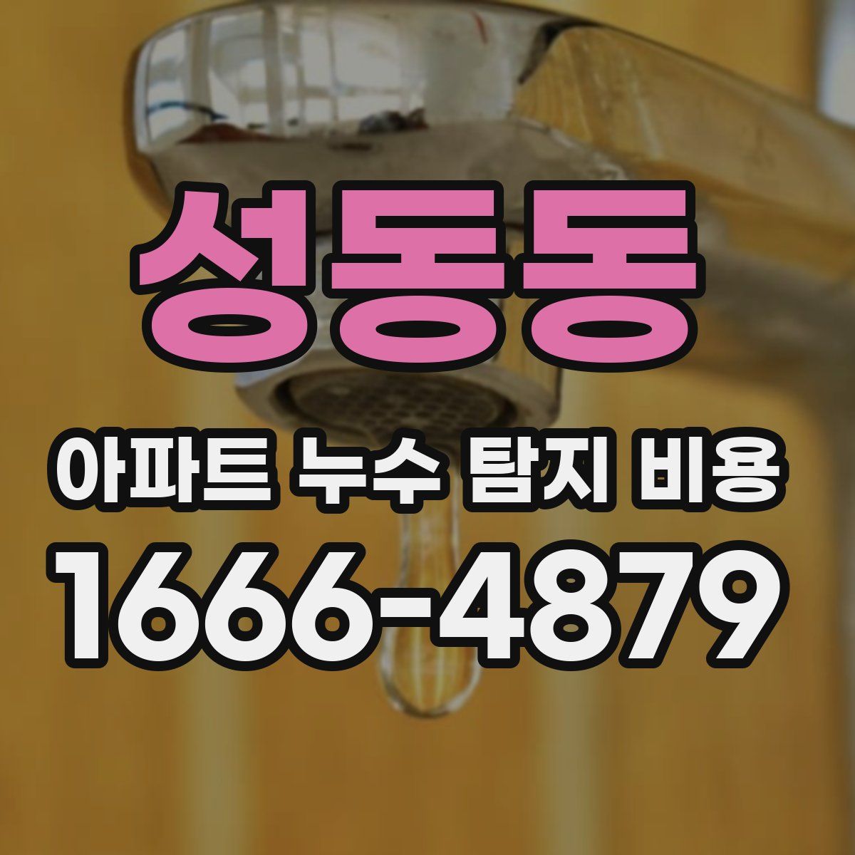 성동동 아파트 누수 탐지 비용