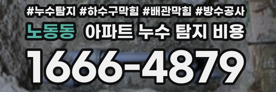 노동동 아파트 누수 탐지 비용