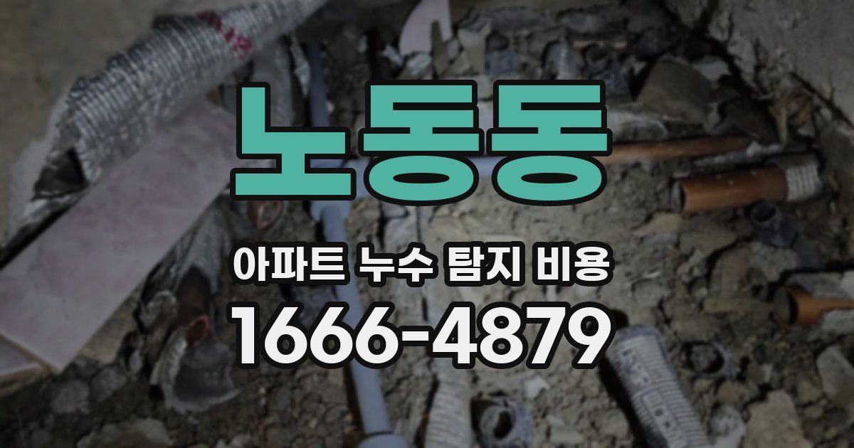 노동동 아파트 누수 탐지 비용