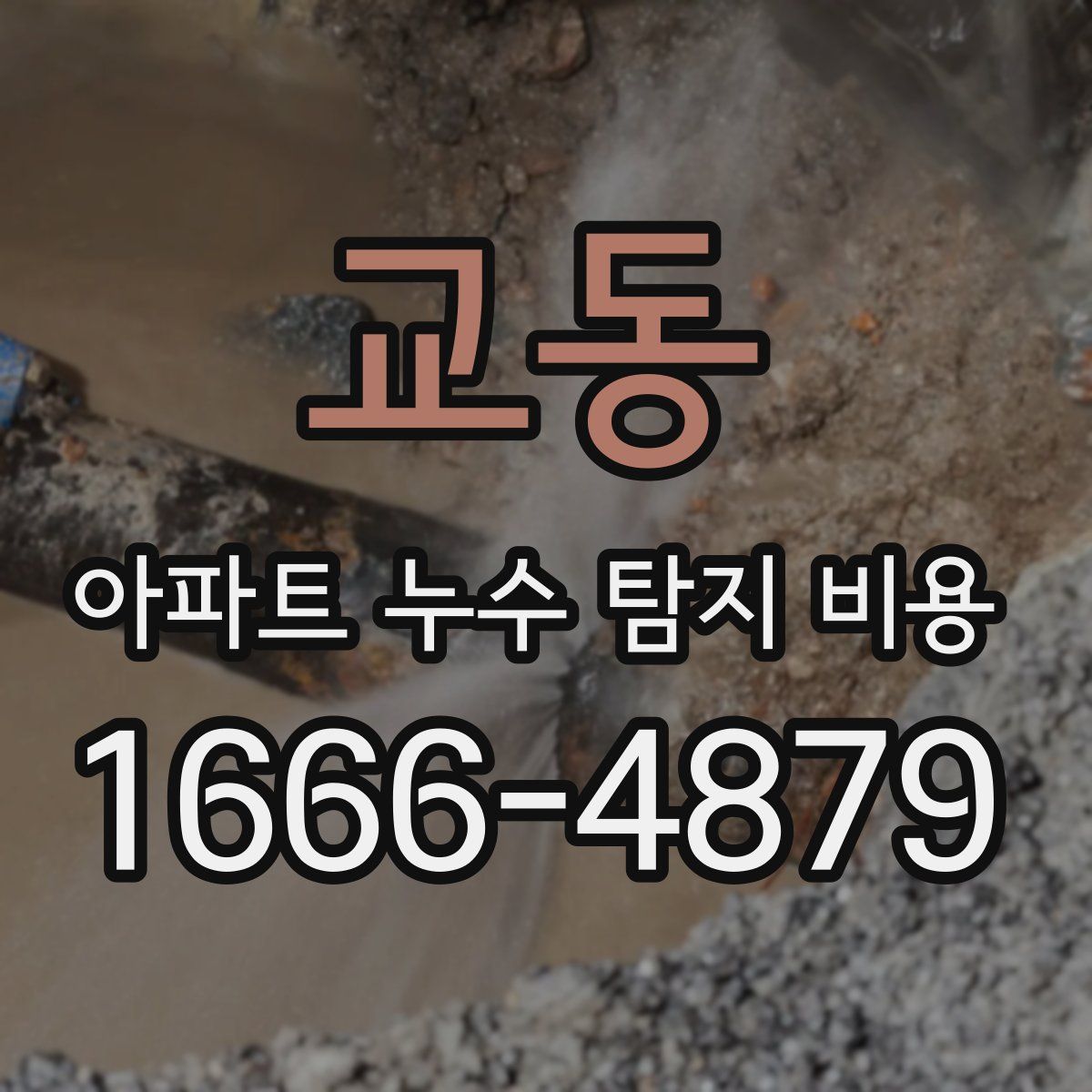 교동 아파트 누수 탐지 비용