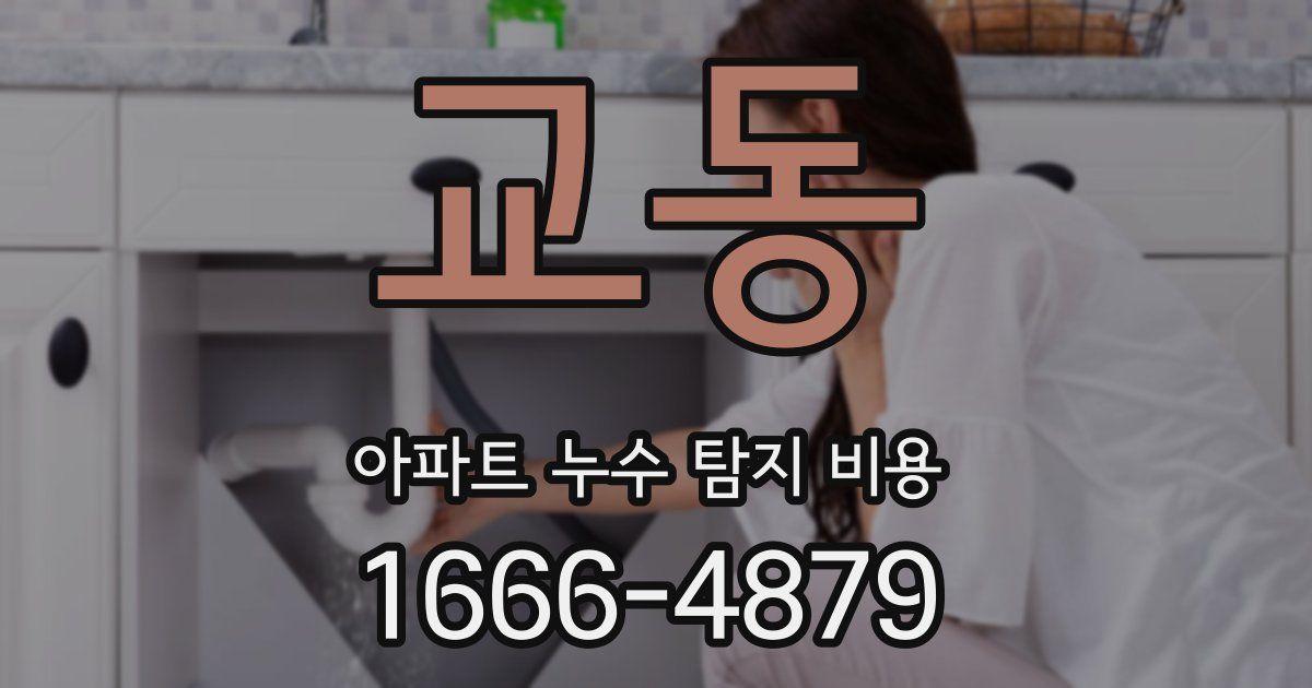 교동 아파트 누수 탐지 비용