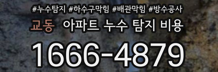 교동 아파트 누수 탐지 비용
