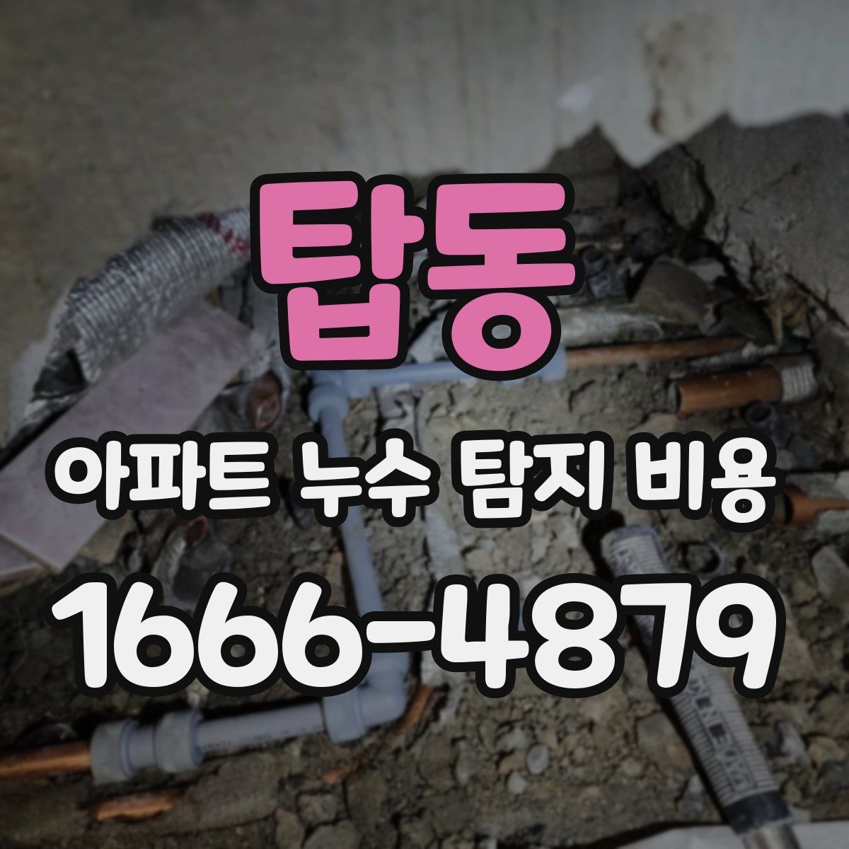 탑동 아파트 누수 탐지 비용