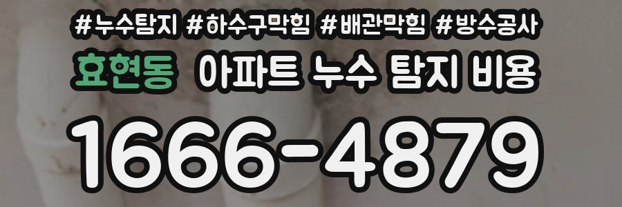 효현동 아파트 누수 탐지 비용