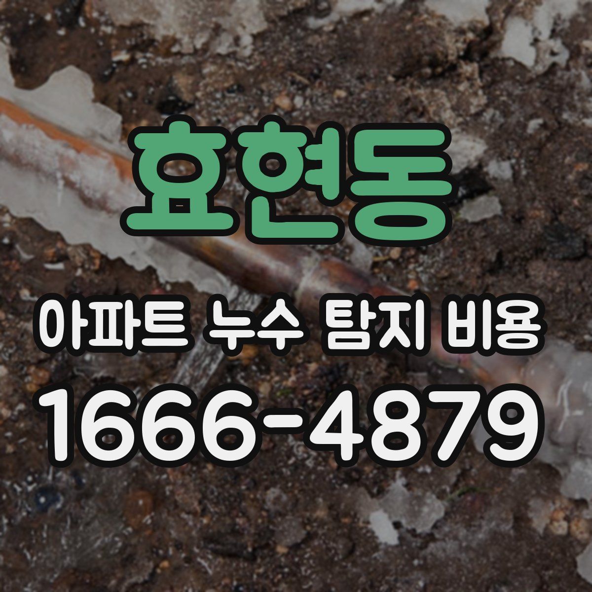 효현동 아파트 누수 탐지 비용