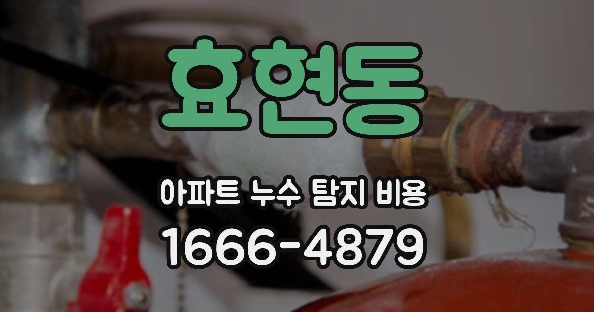 효현동 아파트 누수 탐지 비용