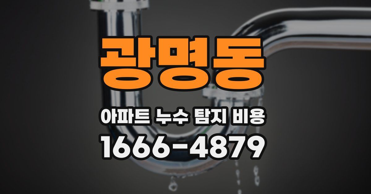 광명동 아파트 누수 탐지 비용