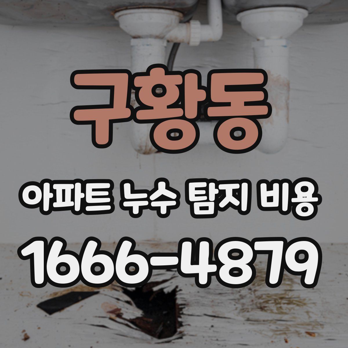 구황동 아파트 누수 탐지 비용