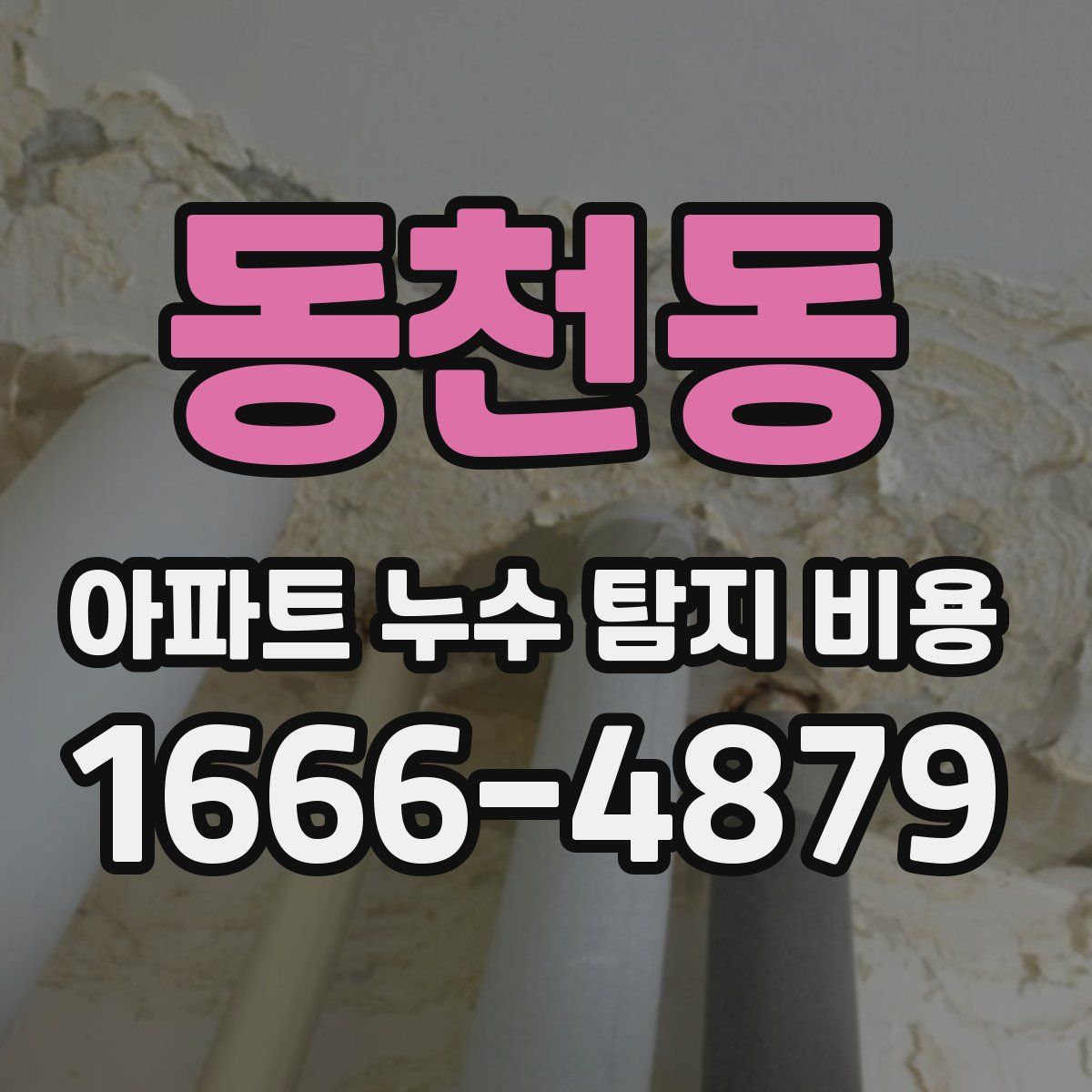 동천동 아파트 누수 탐지 비용