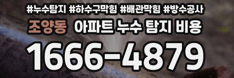 조양동 아파트 누수 탐지 비용