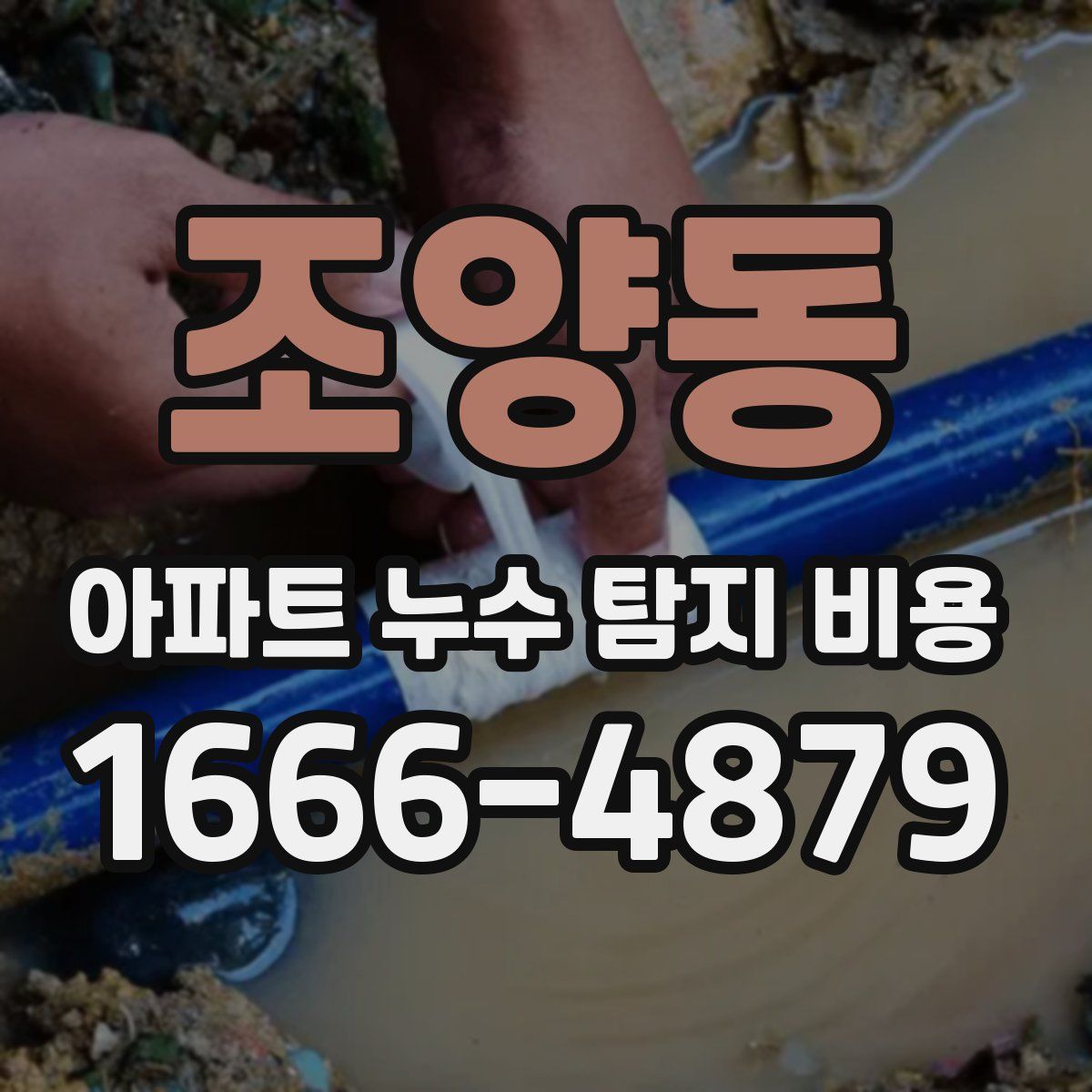 조양동 아파트 누수 탐지 비용