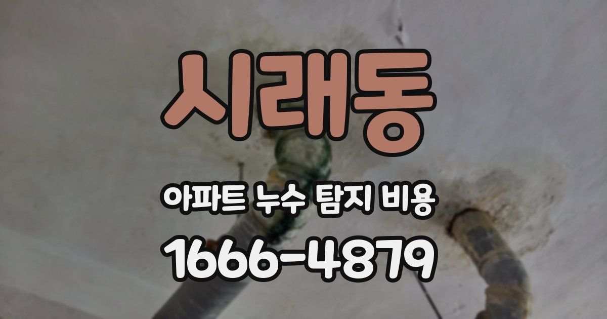 시래동 아파트 누수 탐지 비용