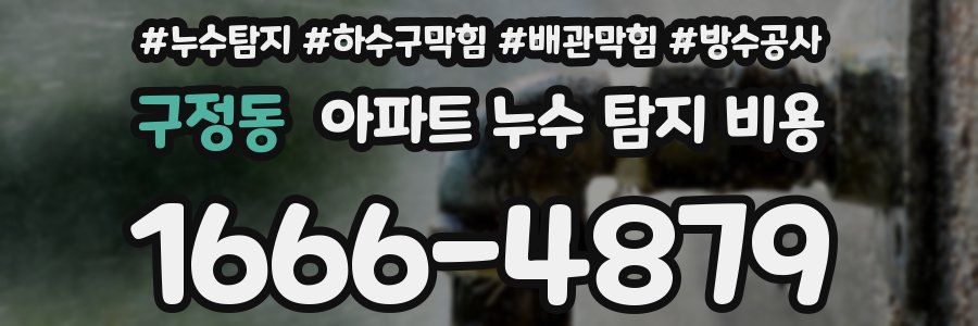 구정동 아파트 누수 탐지 비용