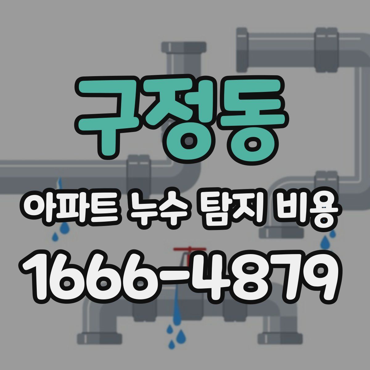 구정동 아파트 누수 탐지 비용