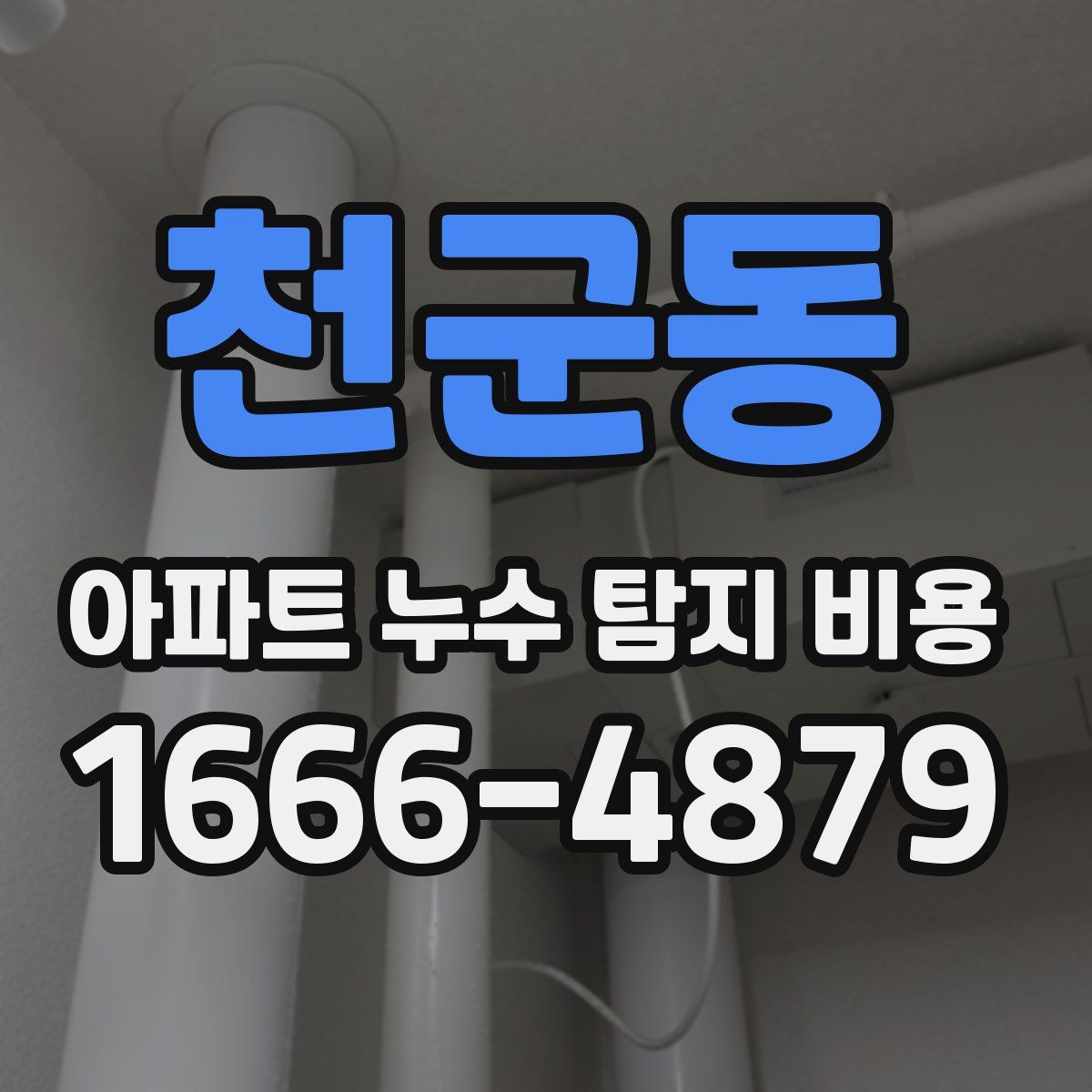 천군동 아파트 누수 탐지 비용
