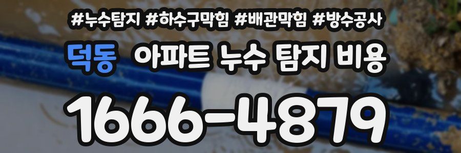 덕동 아파트 누수 탐지 비용