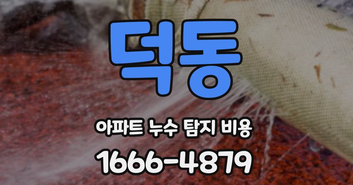 덕동 아파트 누수 탐지 비용