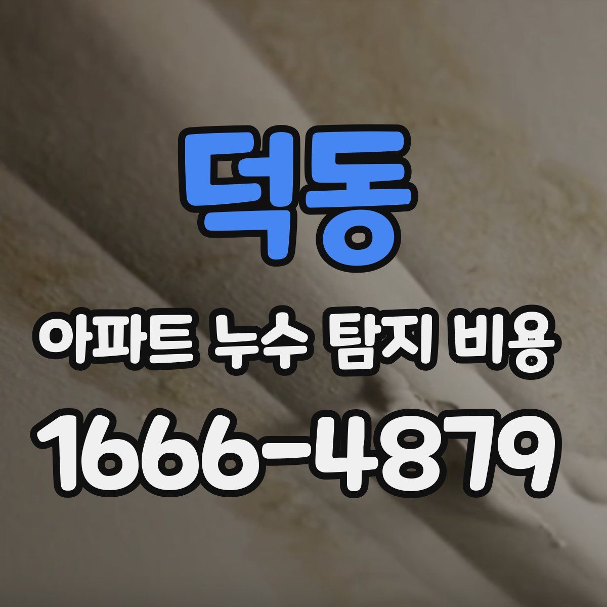 덕동 아파트 누수 탐지 비용
