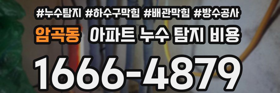 암곡동 아파트 누수 탐지 비용
