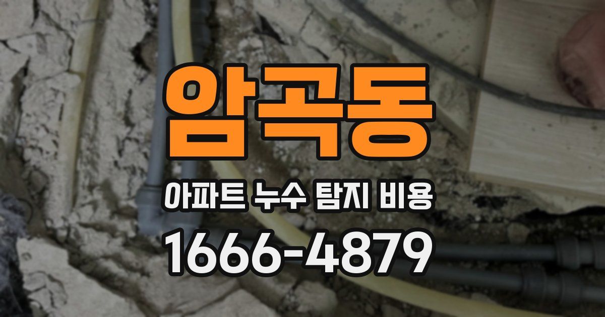 암곡동 아파트 누수 탐지 비용