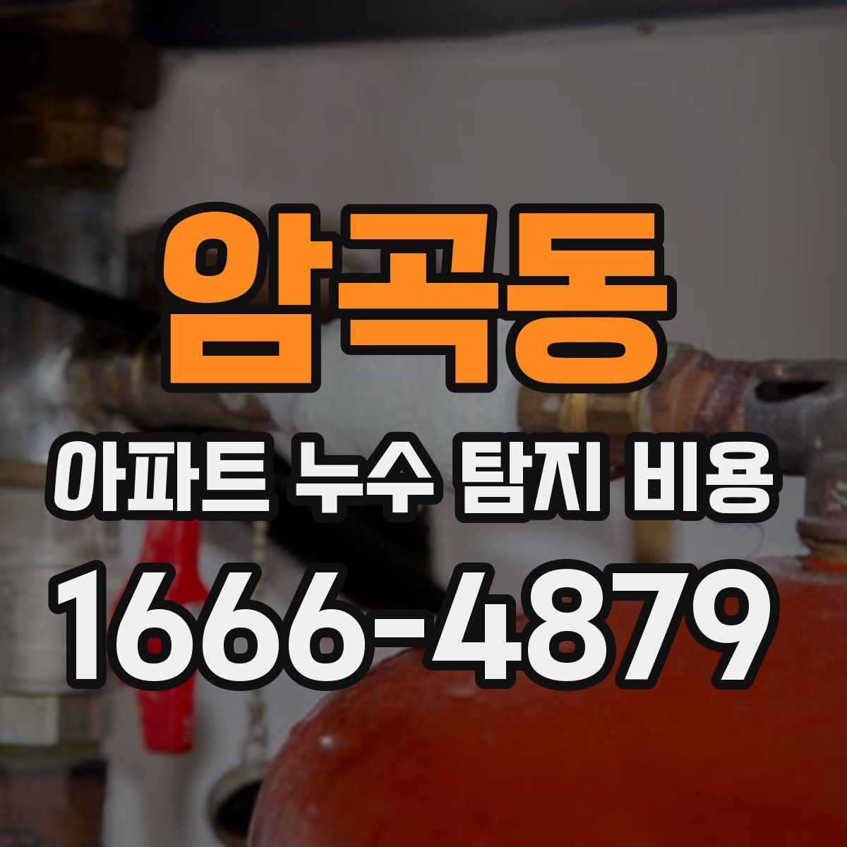 암곡동 아파트 누수 탐지 비용