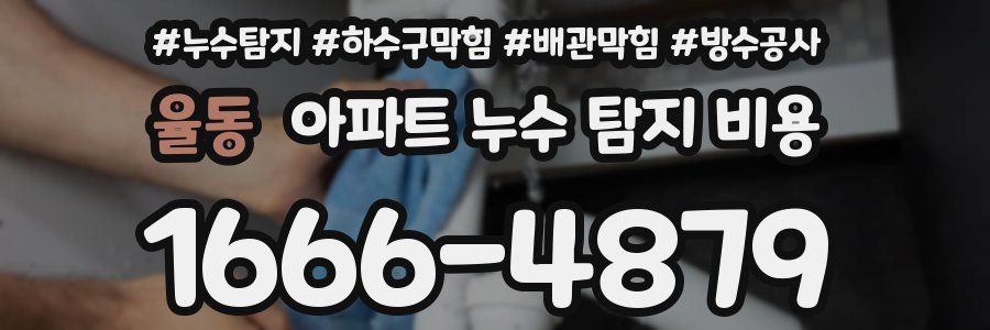 율동 아파트 누수 탐지 비용