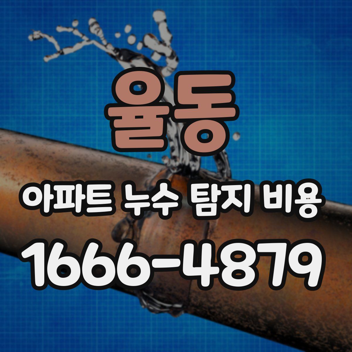 율동 아파트 누수 탐지 비용