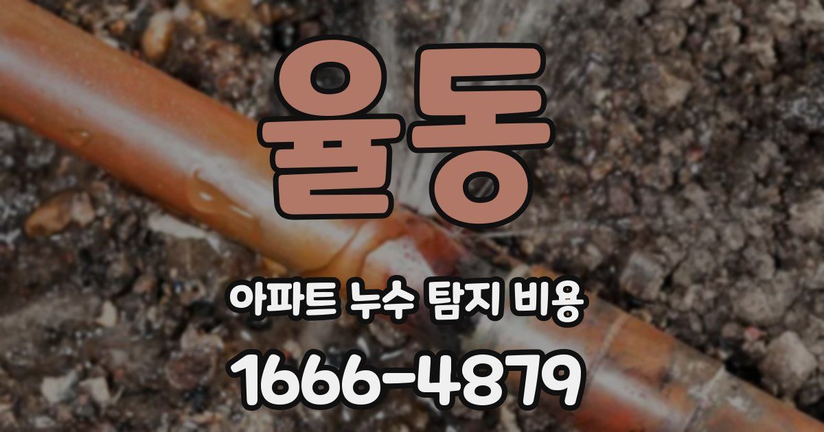 율동 아파트 누수 탐지 비용
