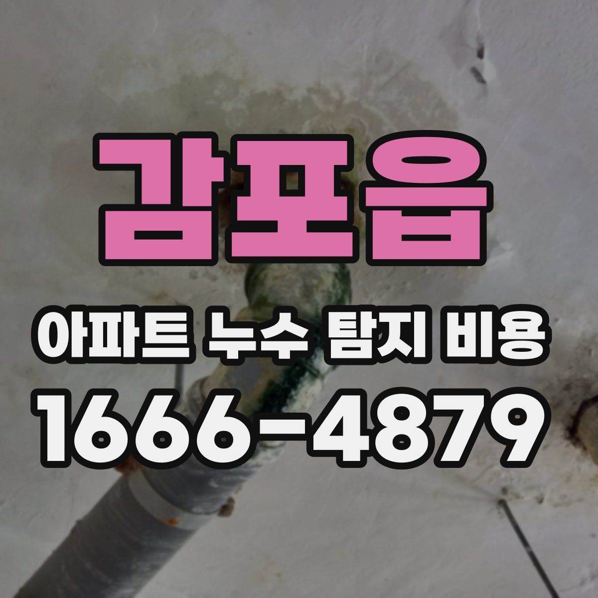 감포읍 아파트 누수 탐지 비용