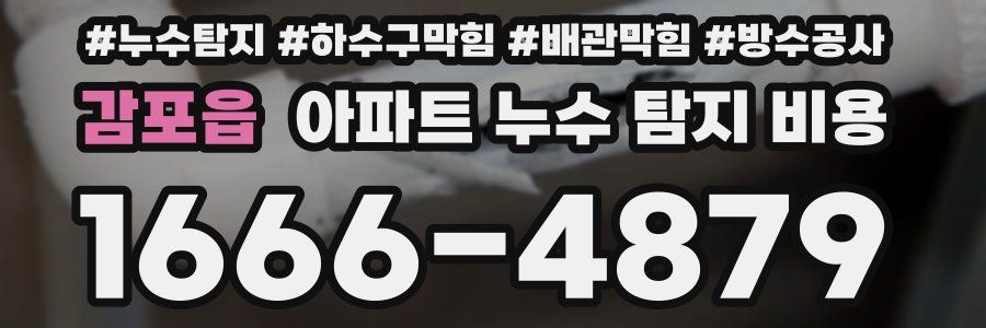 감포읍 아파트 누수 탐지 비용