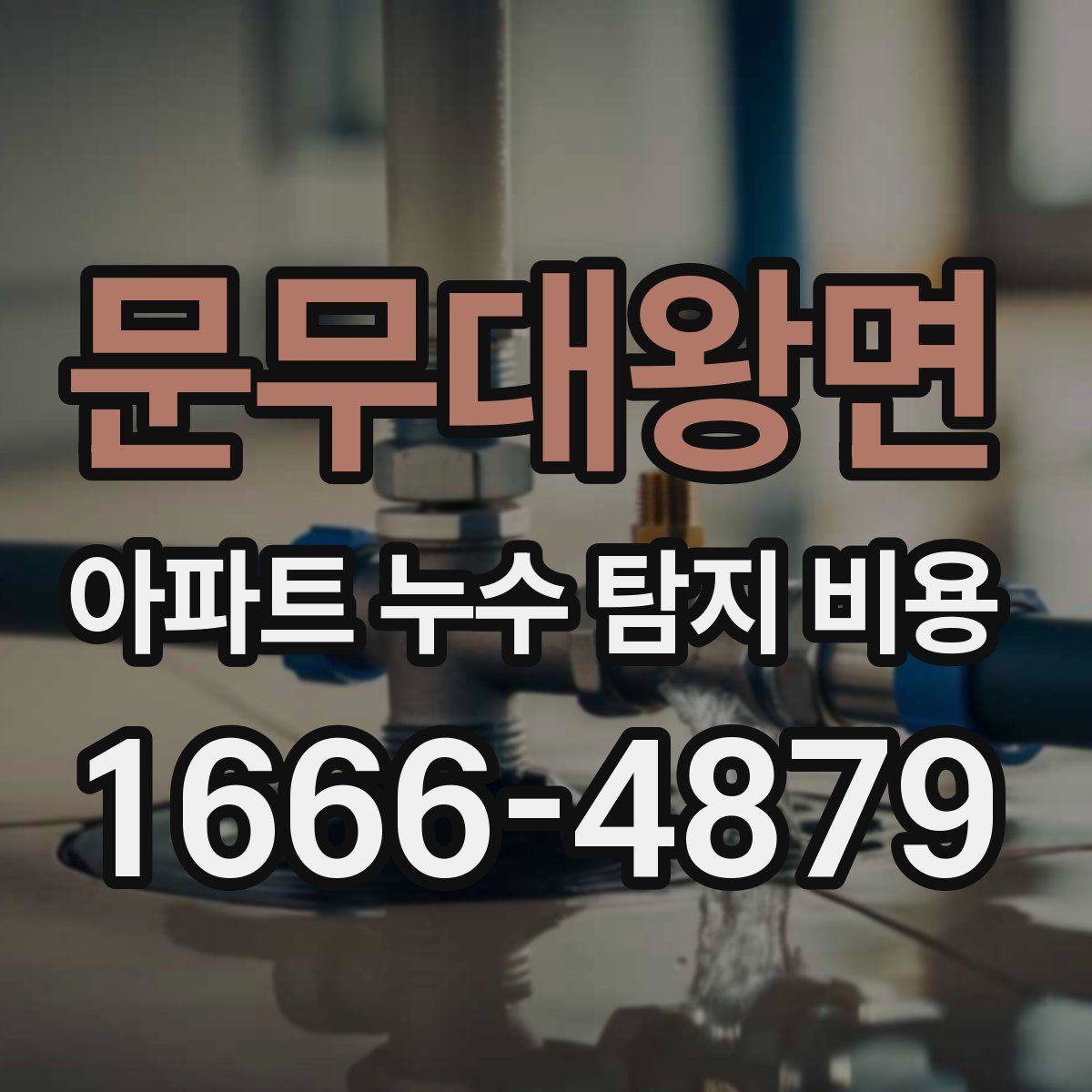 문무대왕면 아파트 누수 탐지 비용