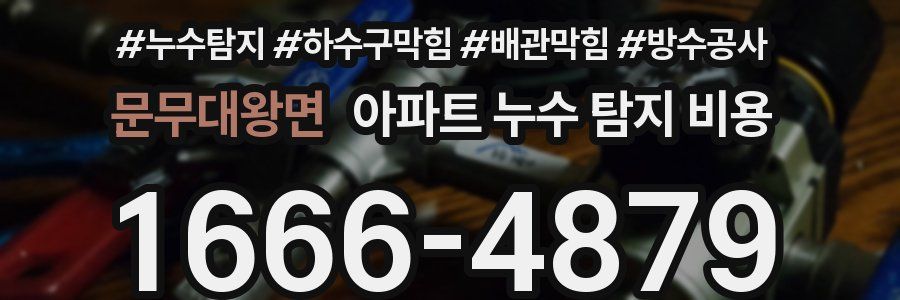 문무대왕면 아파트 누수 탐지 비용