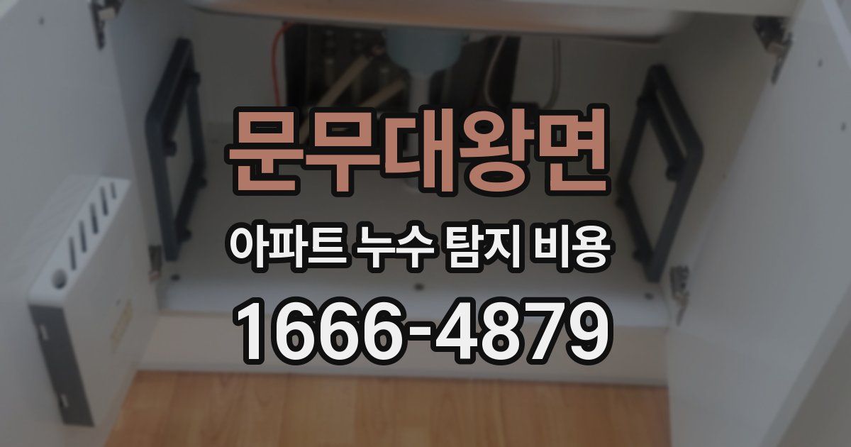 문무대왕면 아파트 누수 탐지 비용