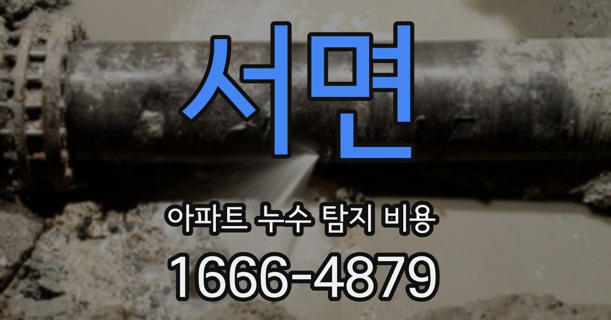 서면 아파트 누수 탐지 비용