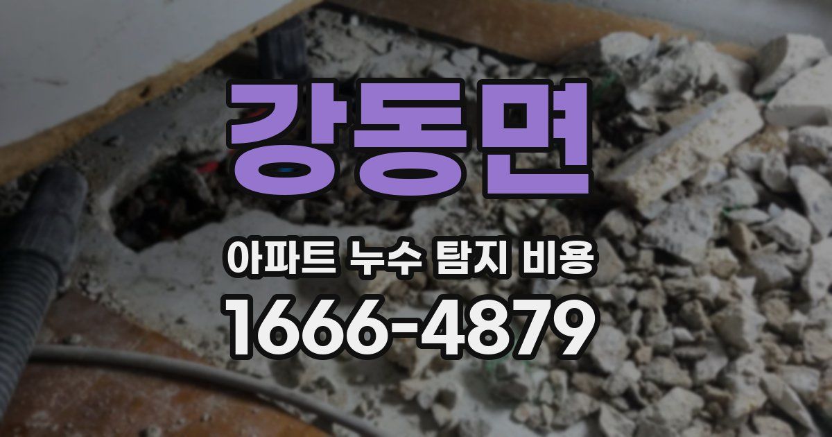 강동면 아파트 누수 탐지 비용