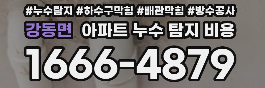 강동면 아파트 누수 탐지 비용