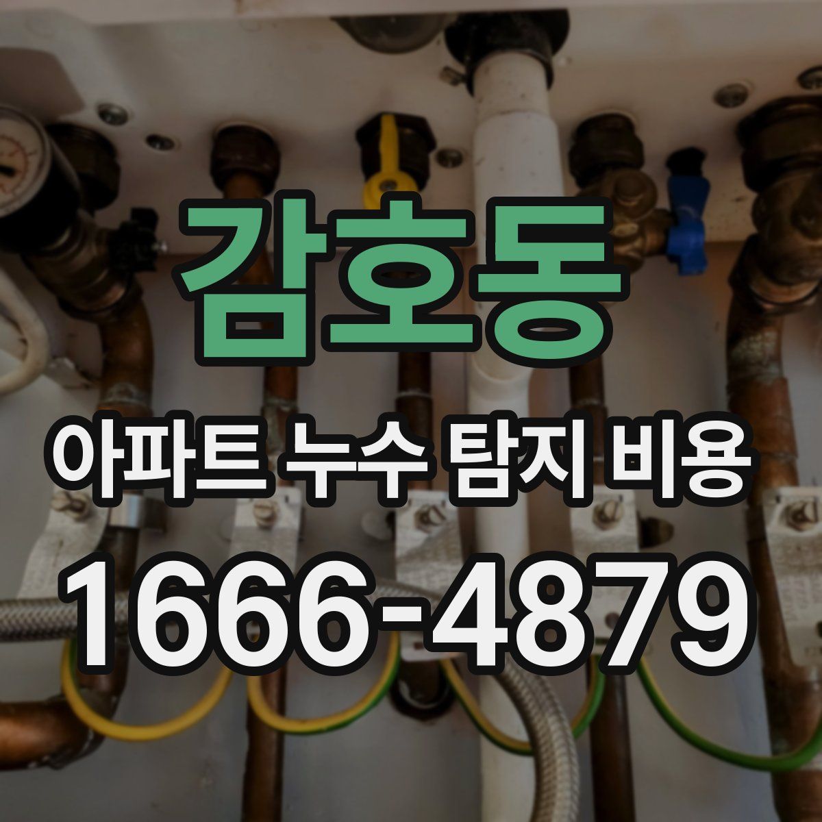 감호동 아파트 누수 탐지 비용