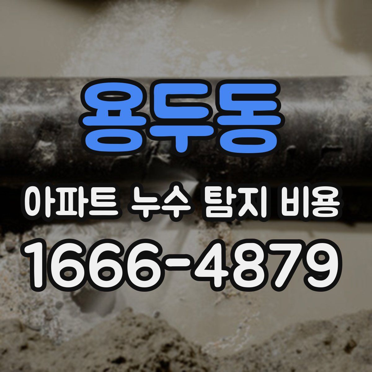 용두동 아파트 누수 탐지 비용