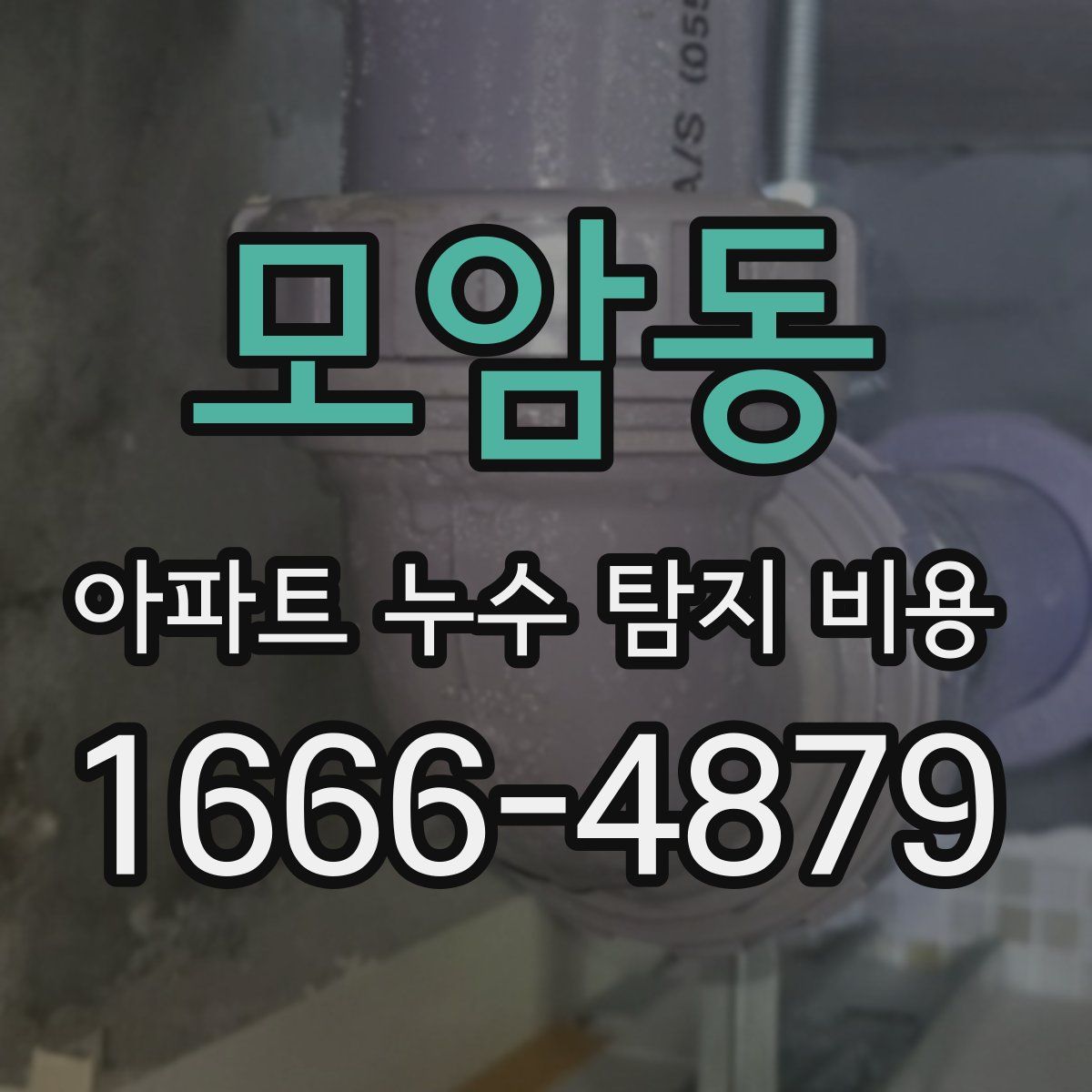 모암동 아파트 누수 탐지 비용