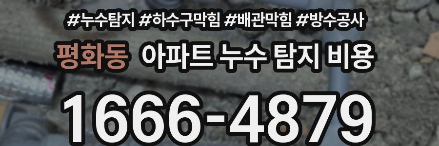 평화동 아파트 누수 탐지 비용