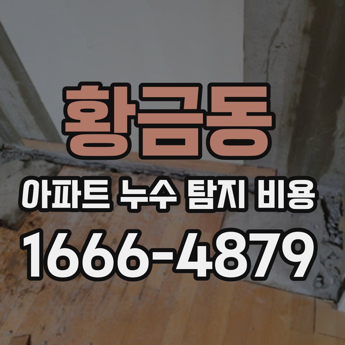 황금동 아파트 누수 탐지 비용