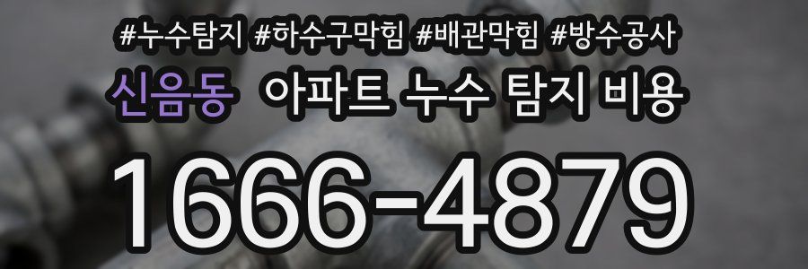 신음동 아파트 누수 탐지 비용