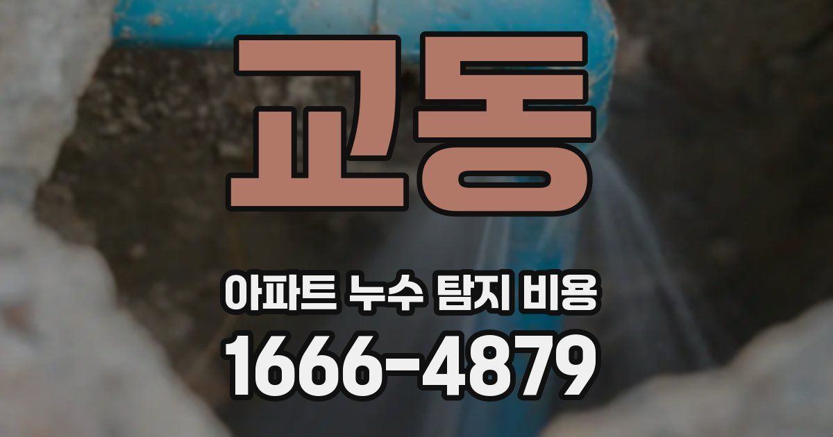 교동 아파트 누수 탐지 비용