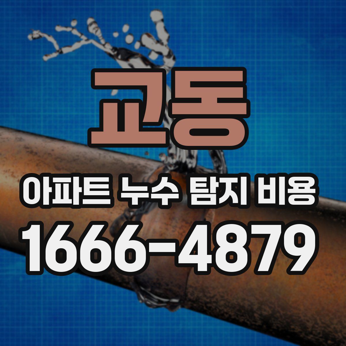 교동 아파트 누수 탐지 비용