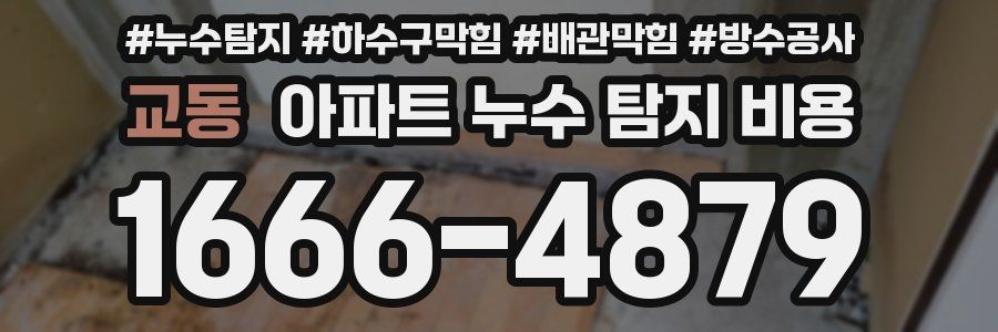 교동 아파트 누수 탐지 비용