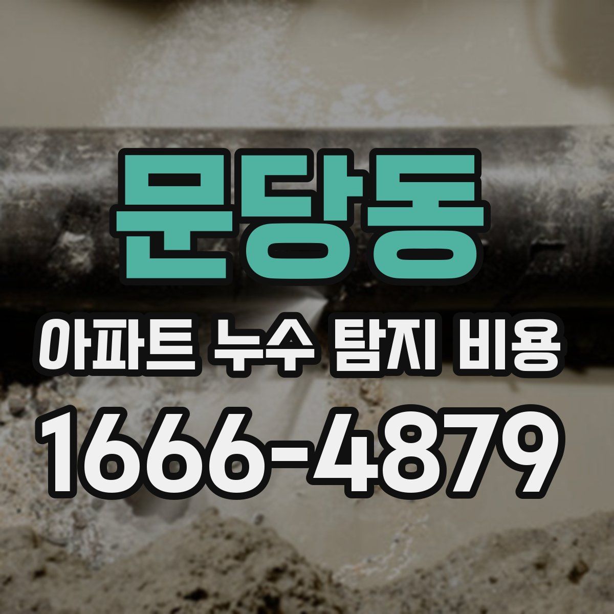 문당동 아파트 누수 탐지 비용