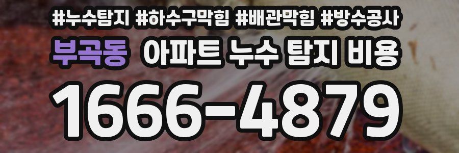 부곡동 아파트 누수 탐지 비용