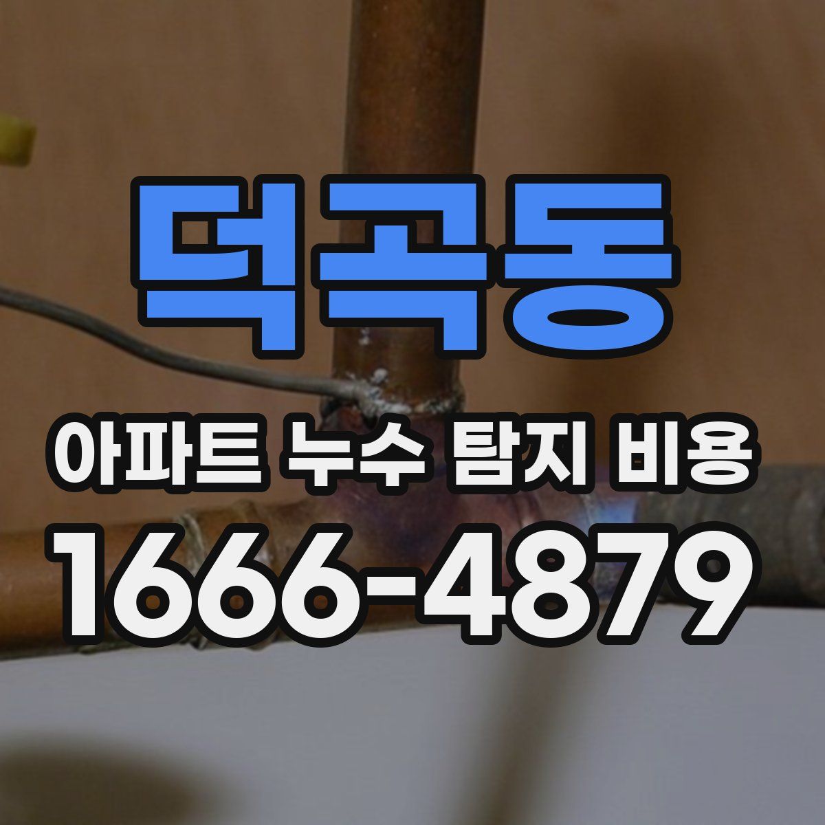 덕곡동 아파트 누수 탐지 비용